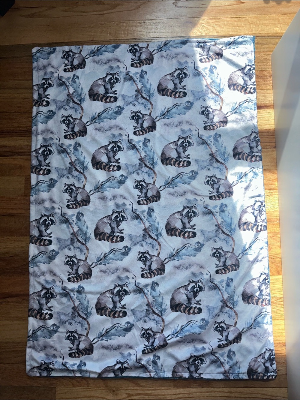 Raccoon Baby Blanket